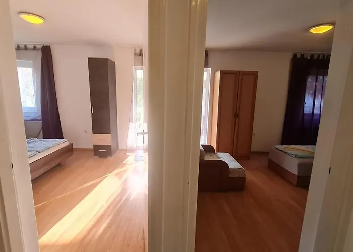 Yellow Sun 2 * シオーフォク