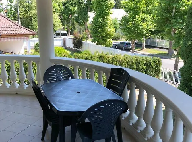 Yellow Sun 2 シオーフォク