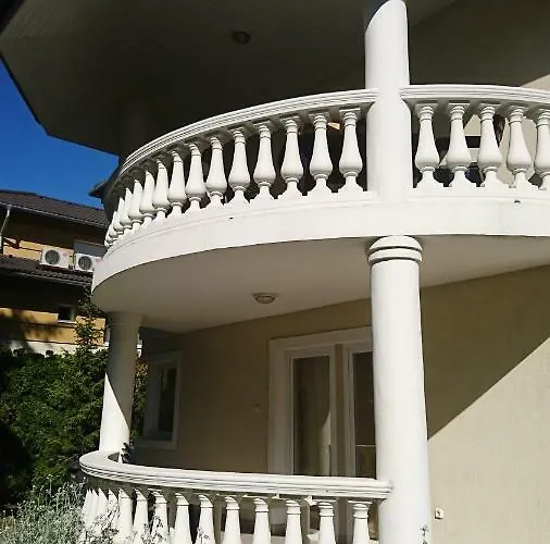 Yellow Sun 2 * シオーフォク